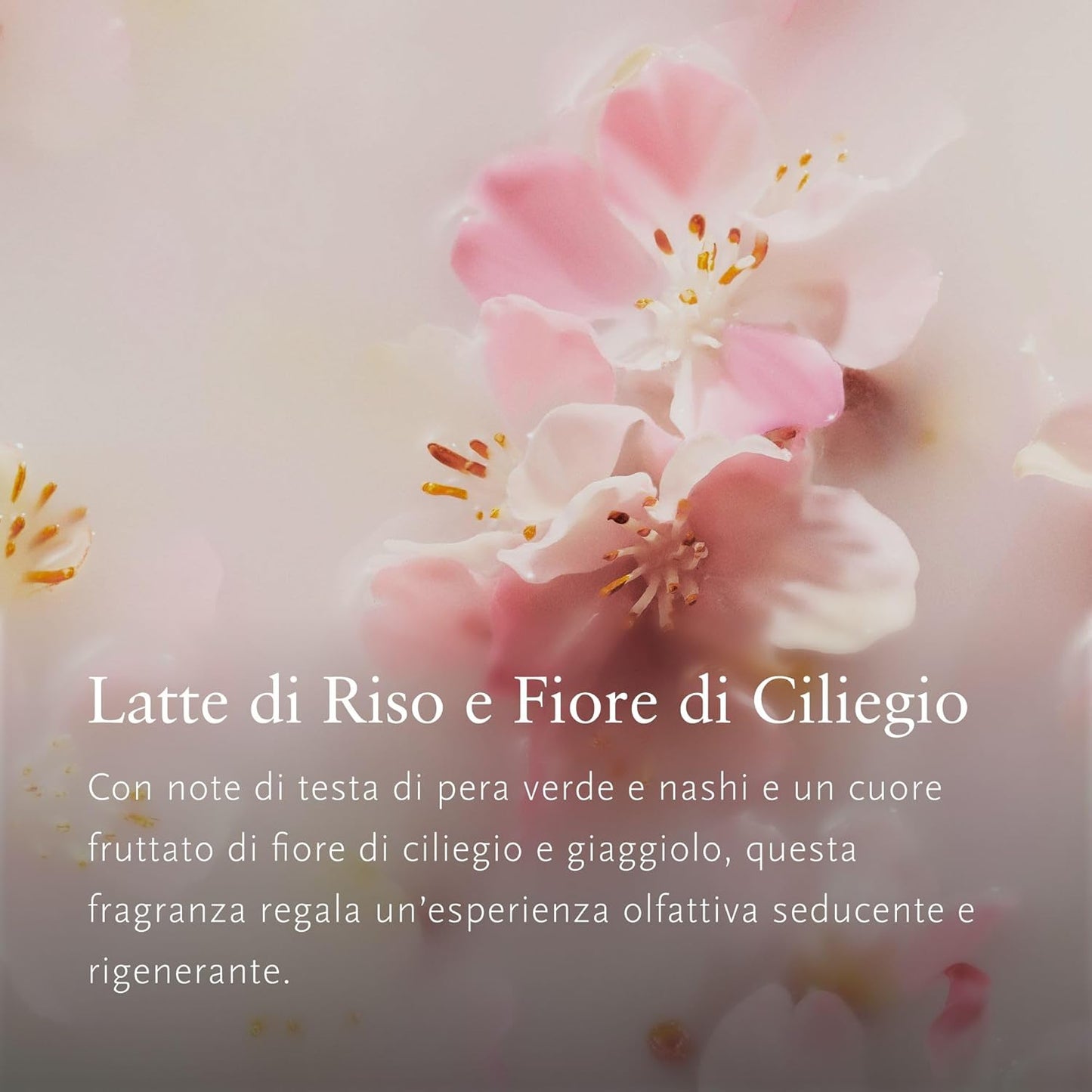 RITUALS Geschenkset the Ritual of Sakura, S – Geschenkbox Mit Produkten Für Die Körperpflege Mit Reismilch Und Kirschblüten – Pflegende Eigenschaften