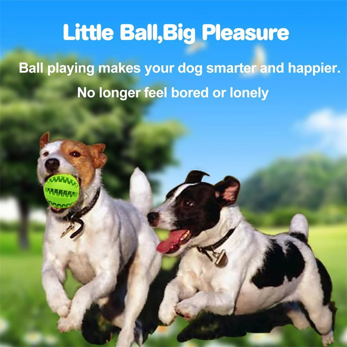 Natural Rubber Pet Dog Toys Dog Chew Toys Tooth Cleaning Treat Ball Extra-tough Interactive Elasticity Ball5cm for Pet Products