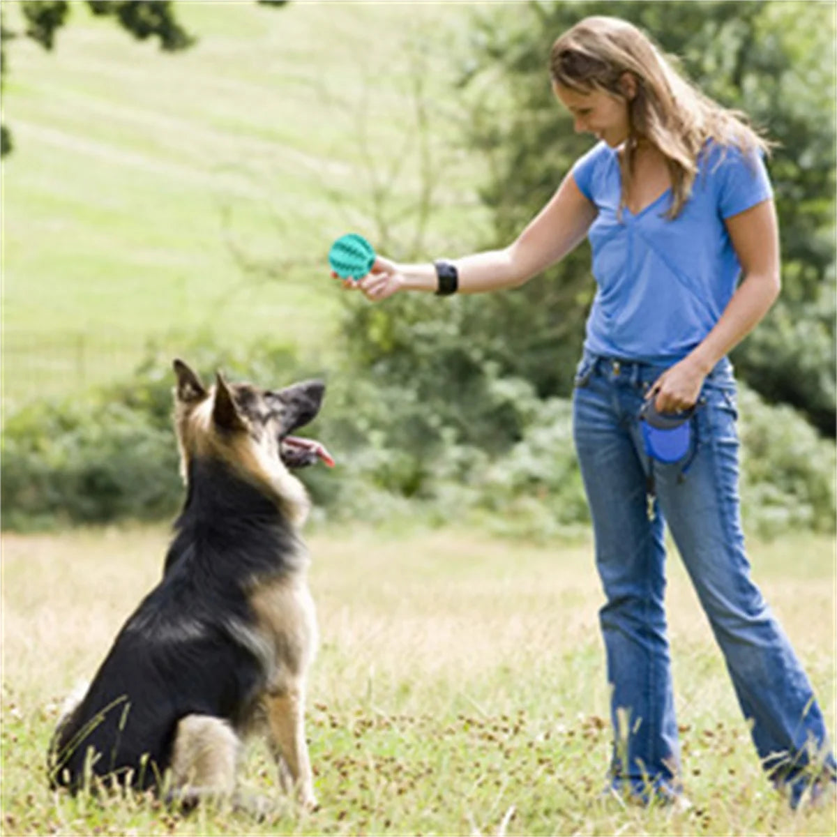 Natural Rubber Pet Dog Toys Dog Chew Toys Tooth Cleaning Treat Ball Extra-tough Interactive Elasticity Ball5cm for Pet Products