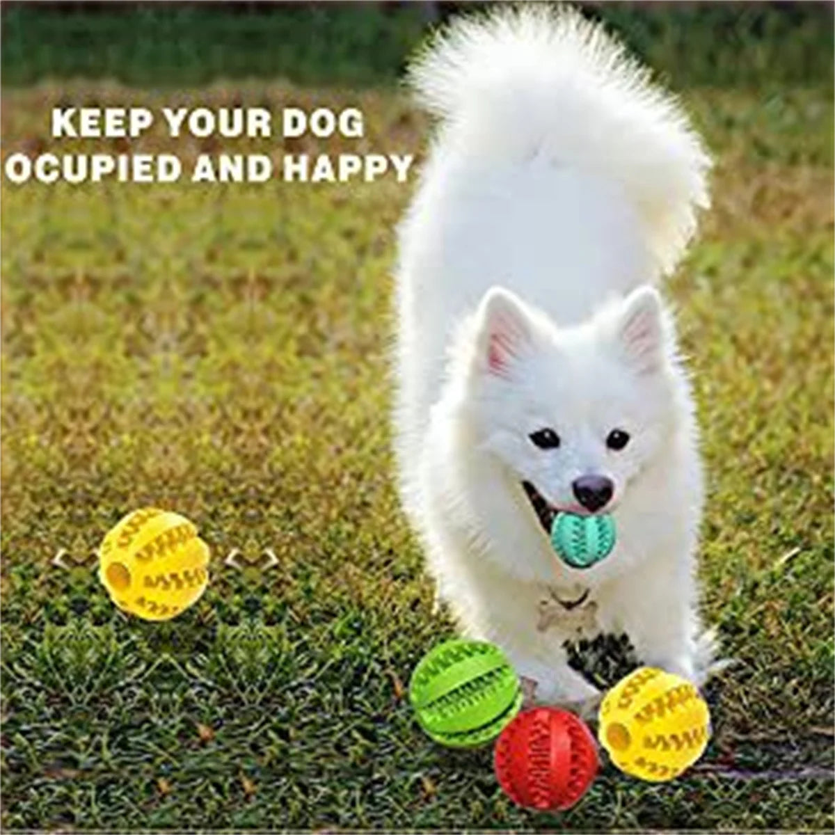 Natural Rubber Pet Dog Toys Dog Chew Toys Tooth Cleaning Treat Ball Extra-tough Interactive Elasticity Ball5cm for Pet Products