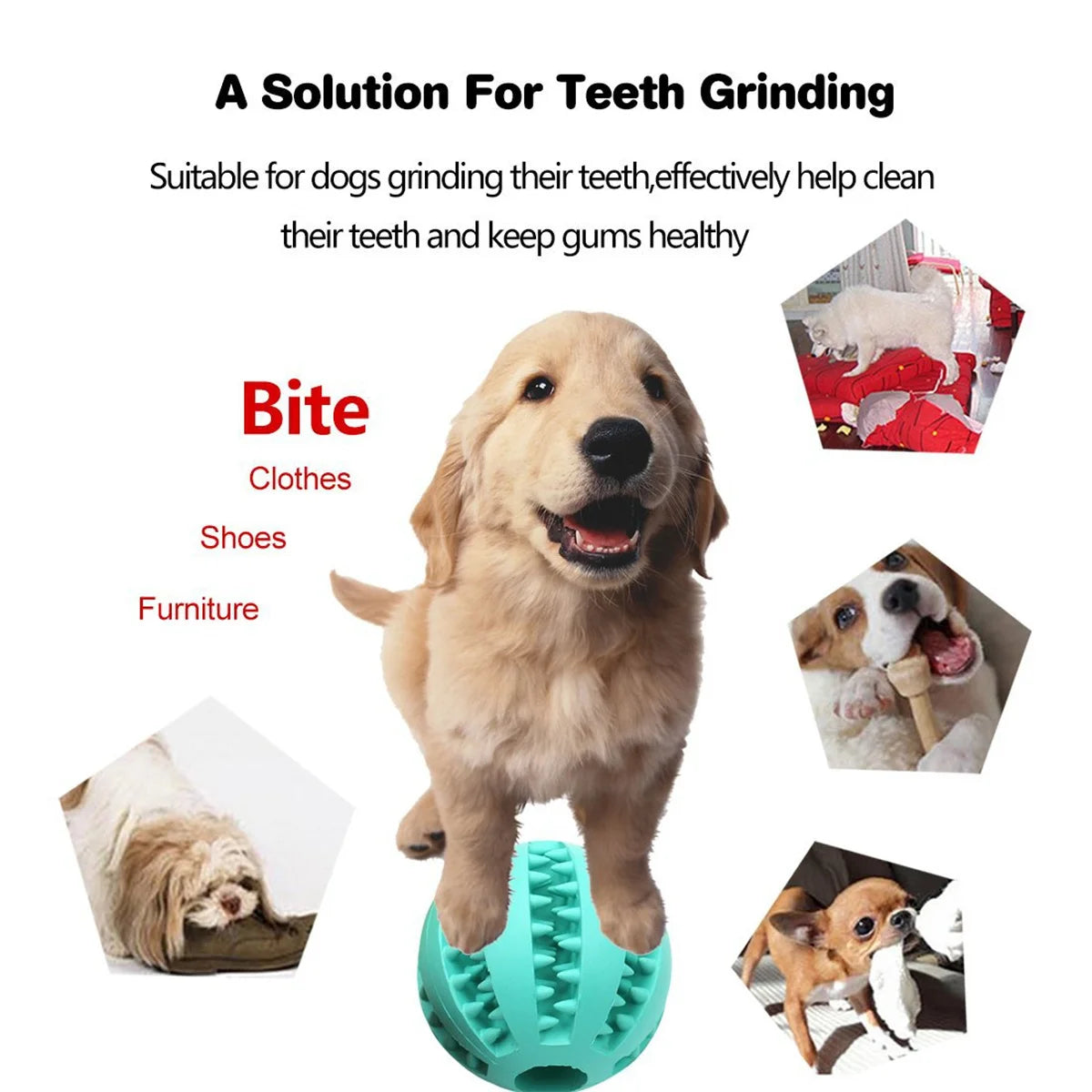 Natural Rubber Pet Dog Toys Dog Chew Toys Tooth Cleaning Treat Ball Extra-tough Interactive Elasticity Ball5cm for Pet Products