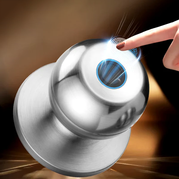 with Tuya Biometric Fingerprint Smart Door Lock Electronic Lock Keyless Security Door Entry Home House Apartment