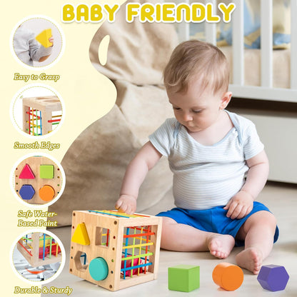 Montessori Holzspielzeug für Kleinkinder - Sensomotorisches Sortierspiel ab 1 Jahr, Ideales Geschenk für Jungen und Mädchen!