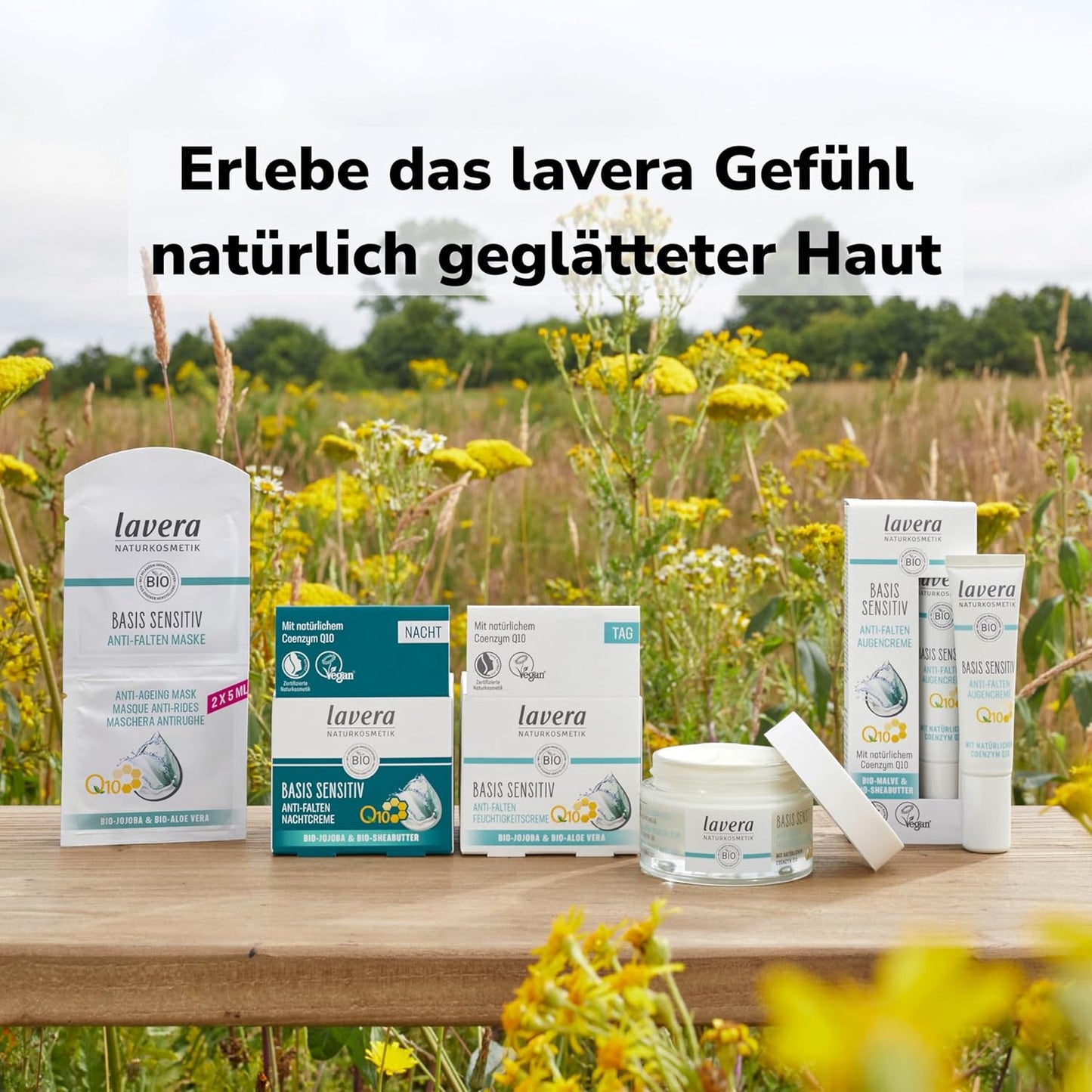 Lavera Feuchtigkeitscreme Q10 ∙ Reduziert Falten ∙ Spendet Feuchtigkeit ∙ anti Aging Tagescreme ∙ Tagespflege Vegan ✔ Bio ✔ Naturkosmetik ✔ Natural ✔ Kosmetik Gesichtscreme 1Er Pack (1X50Ml)