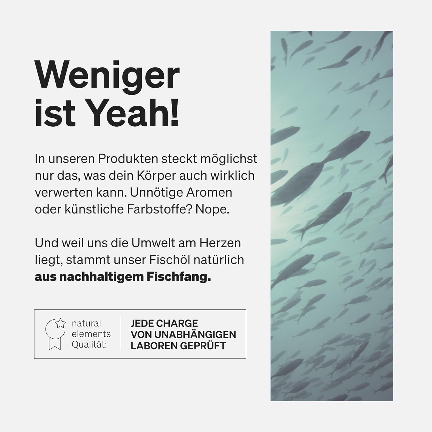 Omega 3 – 365 Kapseln – 2000Mg Fischöl Pro Tagesdosis – Mit EPA Und DHA in Triglycerid-Form – Laborgeprüft, Aufwendig Aufgereinigt Und Aus Nachhaltigem Fischfang