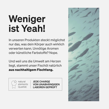 Omega 3 – 365 Kapseln – 2000Mg Fischöl Pro Tagesdosis – Mit EPA Und DHA in Triglycerid-Form – Laborgeprüft, Aufwendig Aufgereinigt Und Aus Nachhaltigem Fischfang