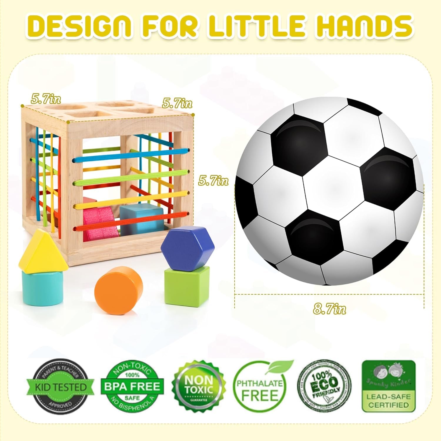 Montessori Holzspielzeug für Kleinkinder - Sensomotorisches Sortierspiel ab 1 Jahr, Ideales Geschenk für Jungen und Mädchen!