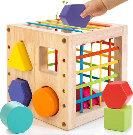 Montessori Holzspielzeug für Kleinkinder - Sensomotorisches Sortierspiel ab 1 Jahr, Ideales Geschenk für Jungen und Mädchen!