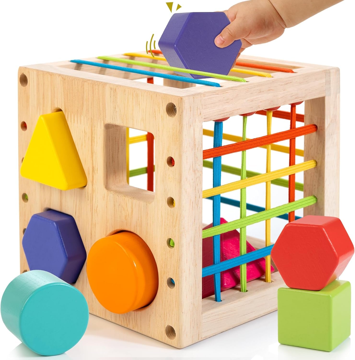 Montessori Holzspielzeug für Kleinkinder - Sensomotorisches Sortierspiel ab 1 Jahr, Ideales Geschenk für Jungen und Mädchen!