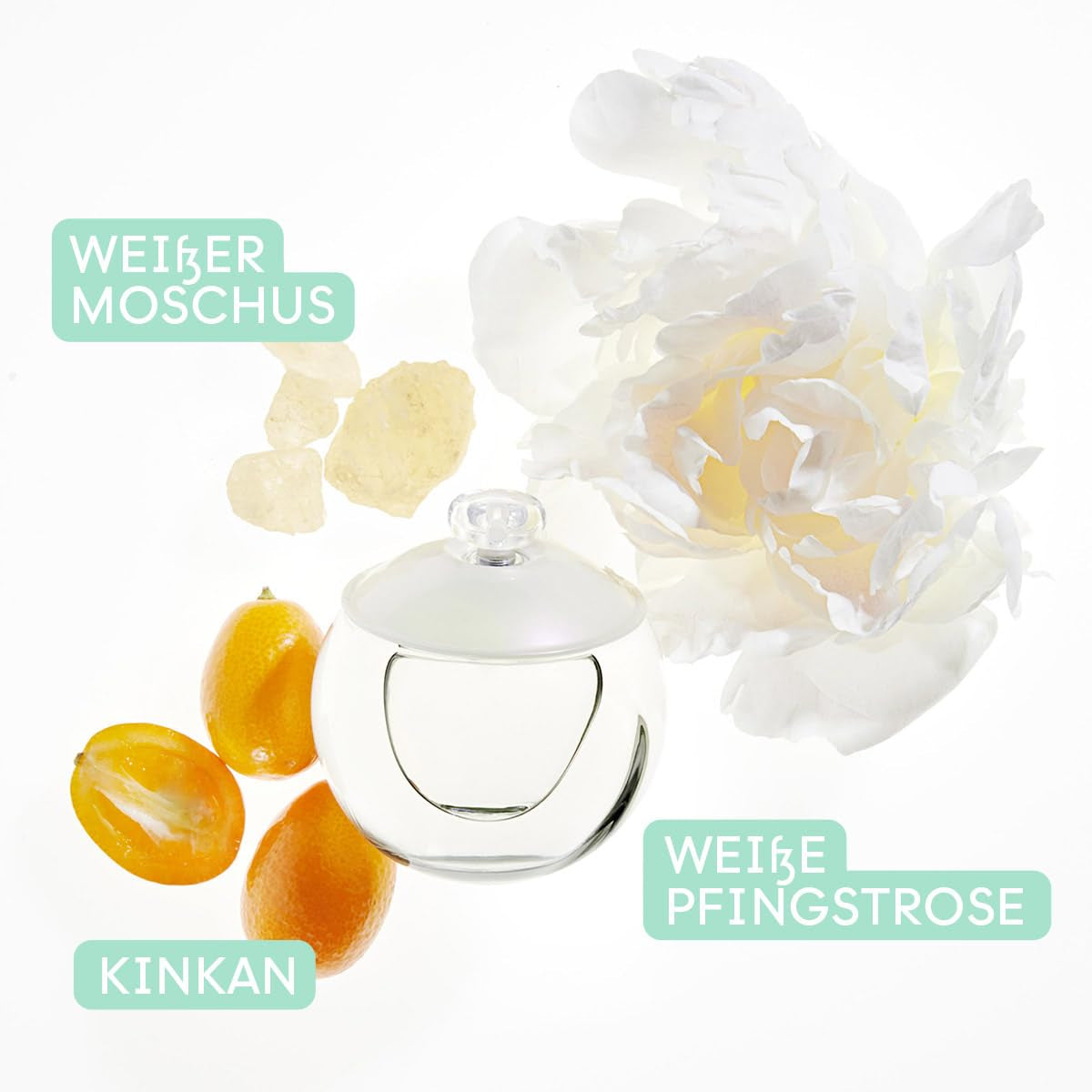 Cacharel a Femme Parfüm Damen| Eau De Toilette| Parfum Damen| Damendüfte| a Prafum| Frauen Parfüm| Blumiger Duft